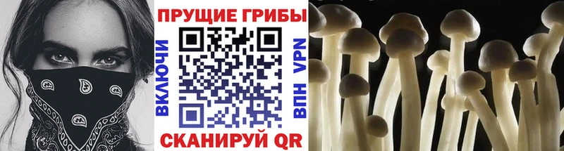 Псилоцибиновые грибы мухоморы  блэк спрут зеркало  Тырныауз  магазин  наркотиков 